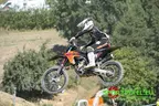 MX